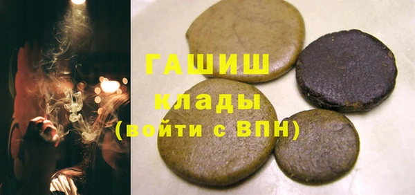 индика Богородицк