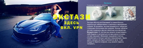 индика Богородицк