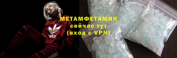 индика Богородицк
