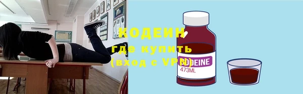 индика Богородицк