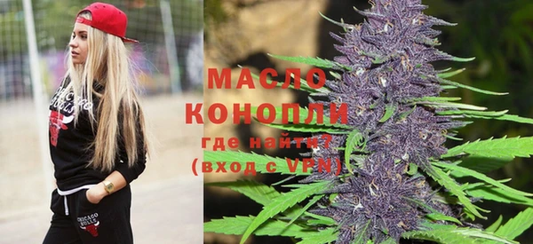 индика Богородицк