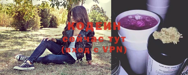 индика Богородицк