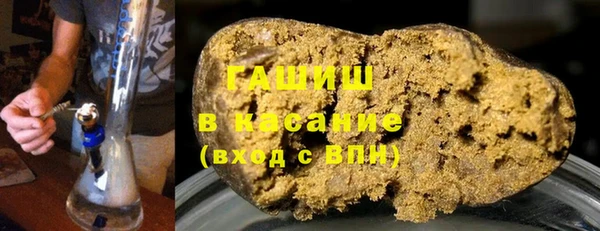 индика Богородицк
