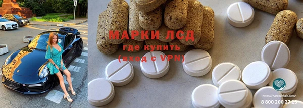индика Богородицк