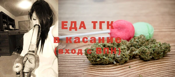 индика Богородицк