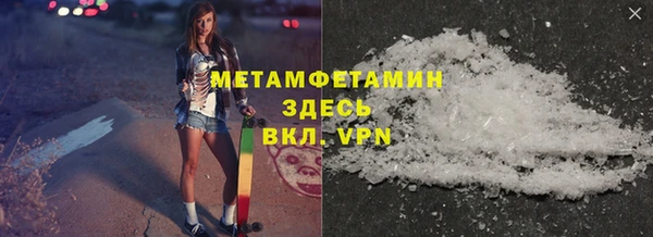 индика Богородицк