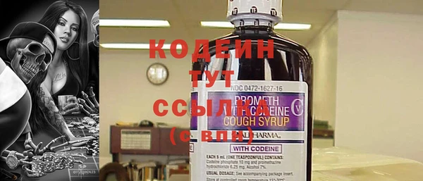 индика Богородицк