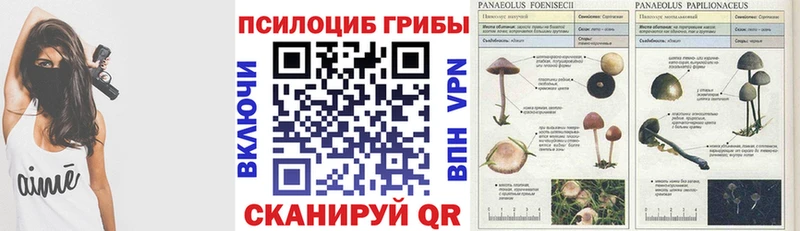 что такое наркотик  Кола  сайты даркнета какой сайт  Псилоцибиновые грибы Magic Shrooms 